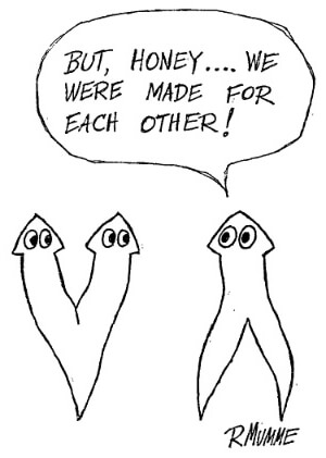 Картинка: Flatworms can be split