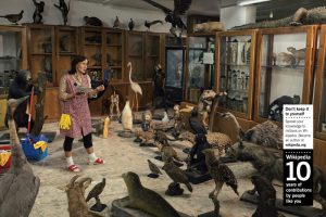 Картинка: &copy; Евгения Онегина. Серия постеров с призывом стать редактором