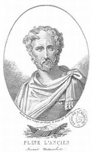 Картинка: Плиний Старший