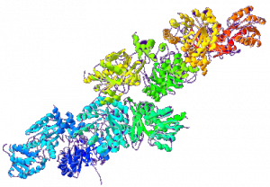 Картинка: Ацетальдегиддегидрогеназа