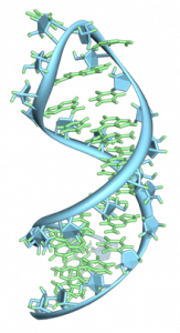 Pic: RNA